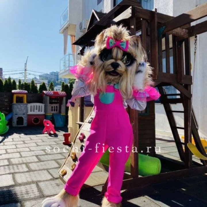 Аниматор Гламурная Собака в Астрахани