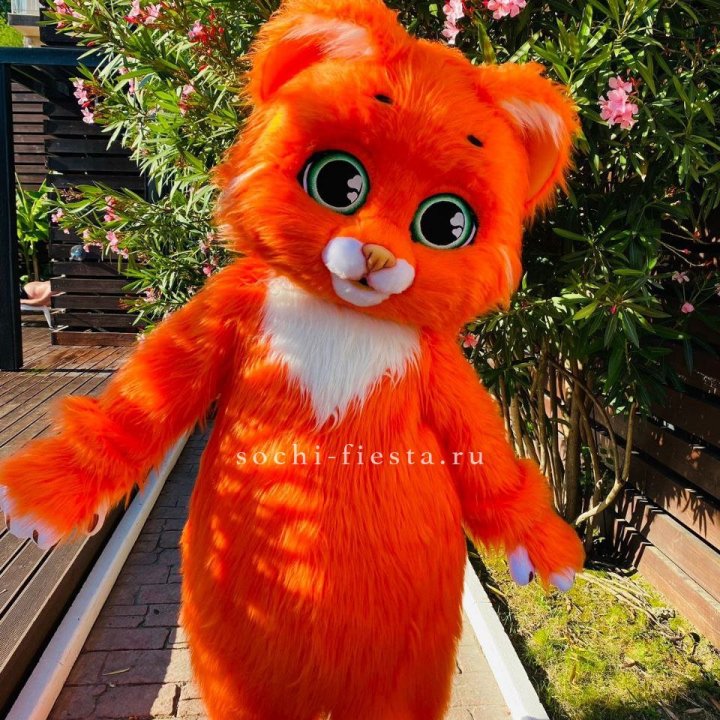 Аниматор Котик в Астрахани