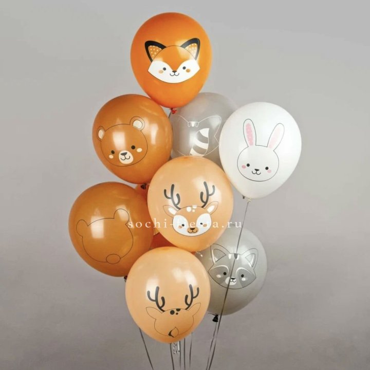 Воздушный шар "Животные" в Астрахани