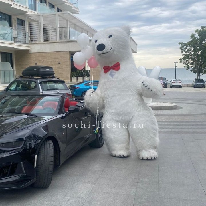 Аниматор Белый Медведь в Астрахани