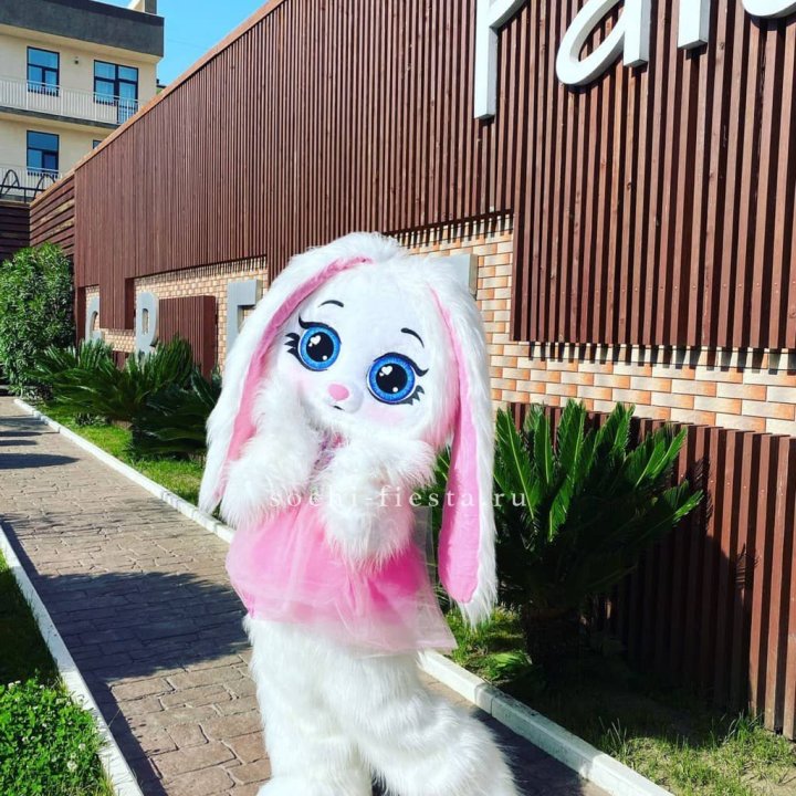 Аниматор Зайка в Астрахани