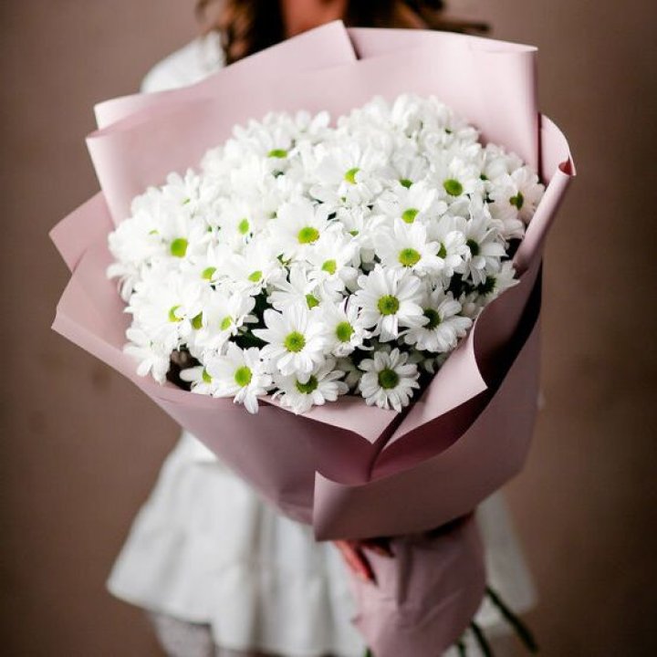 Букет хризантем №2 в Астрахани