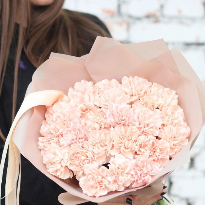 Диантусы №2 в Астрахани