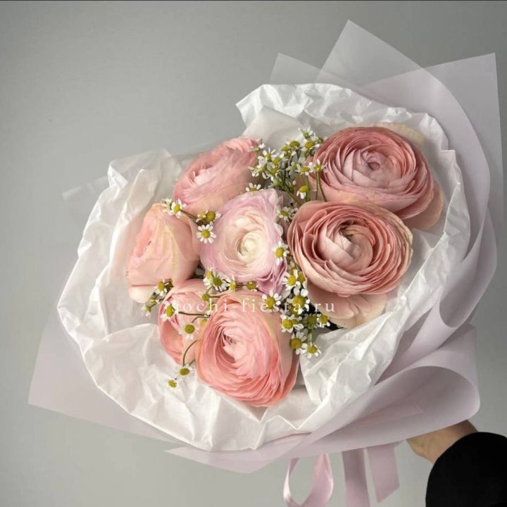 Ранункулюсы с ромашками в Астрахани