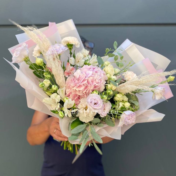 Гортензия "Пинк флоид" в Астрахани