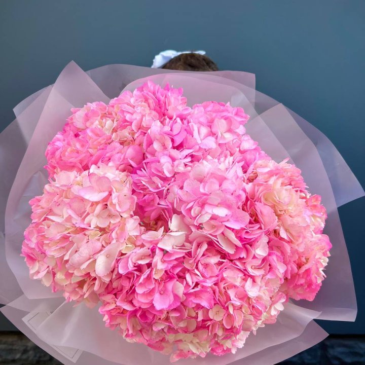 9 ярко розовых гортензий в Астрахани