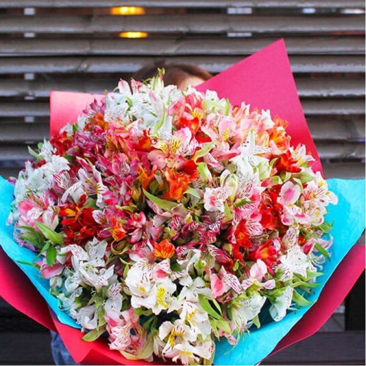 101 альстромерия в Астрахани