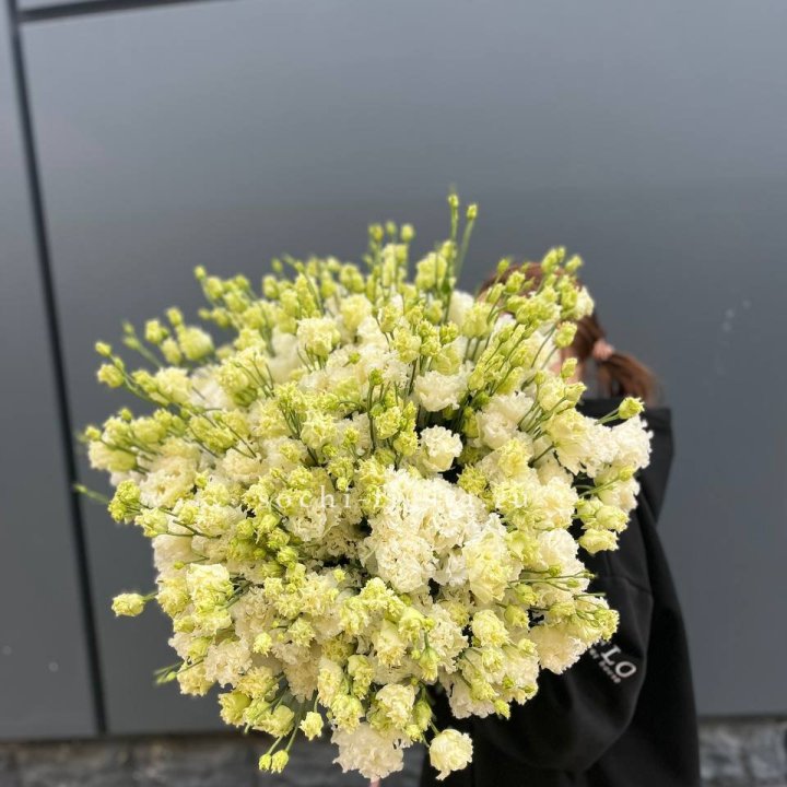 51 белая эустома в Астрахани