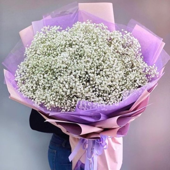 Облако белых гипсофил в Астрахани