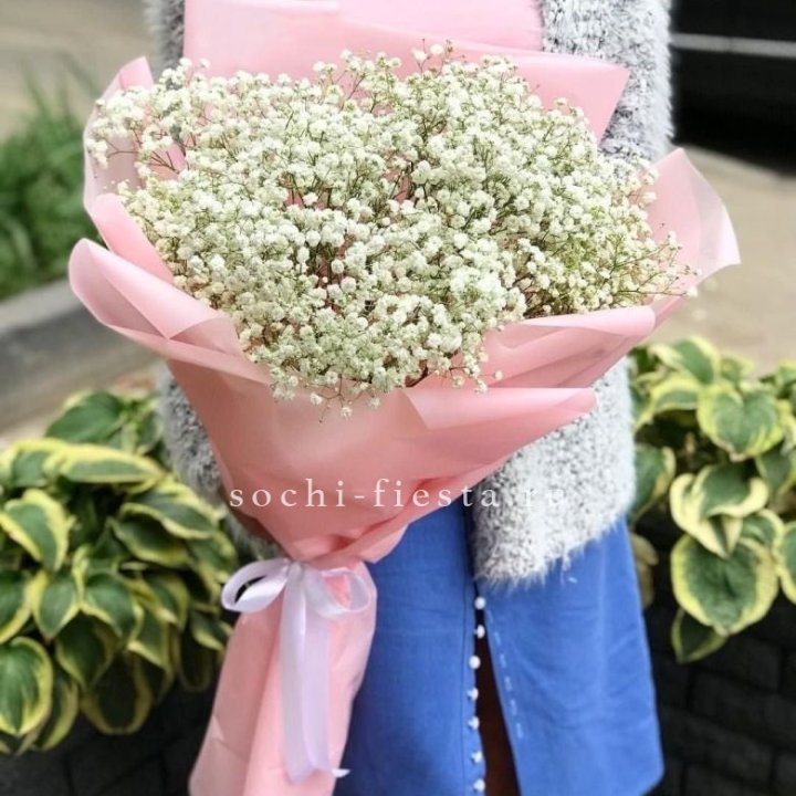 Белоснежные гипсофилы в Астрахани