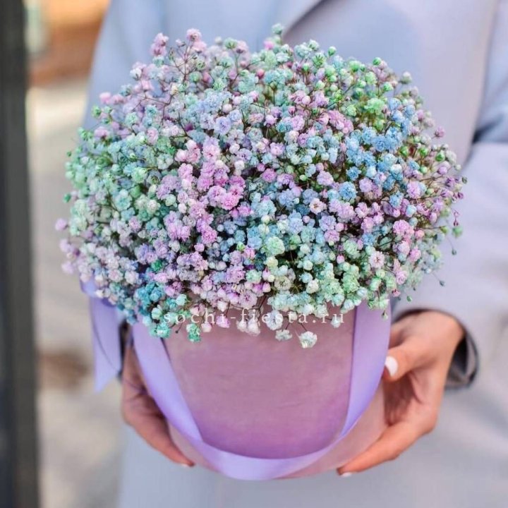 Гипсофилы в шляпной коробке "Кандилайт" в Астрахани