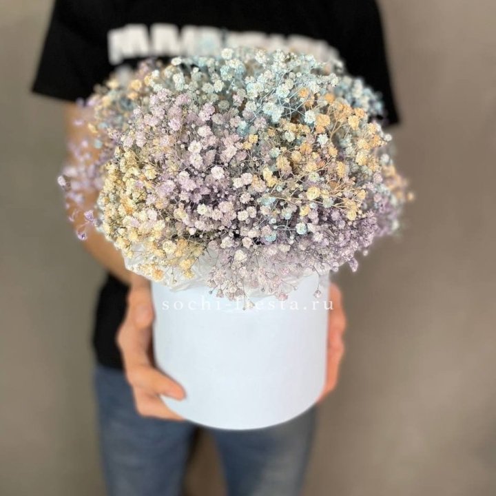 9 Радужных гипсофил в шляпной коробке в Астрахани