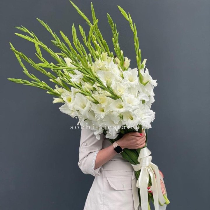19 белых гладиолусов под ленту в Астрахани