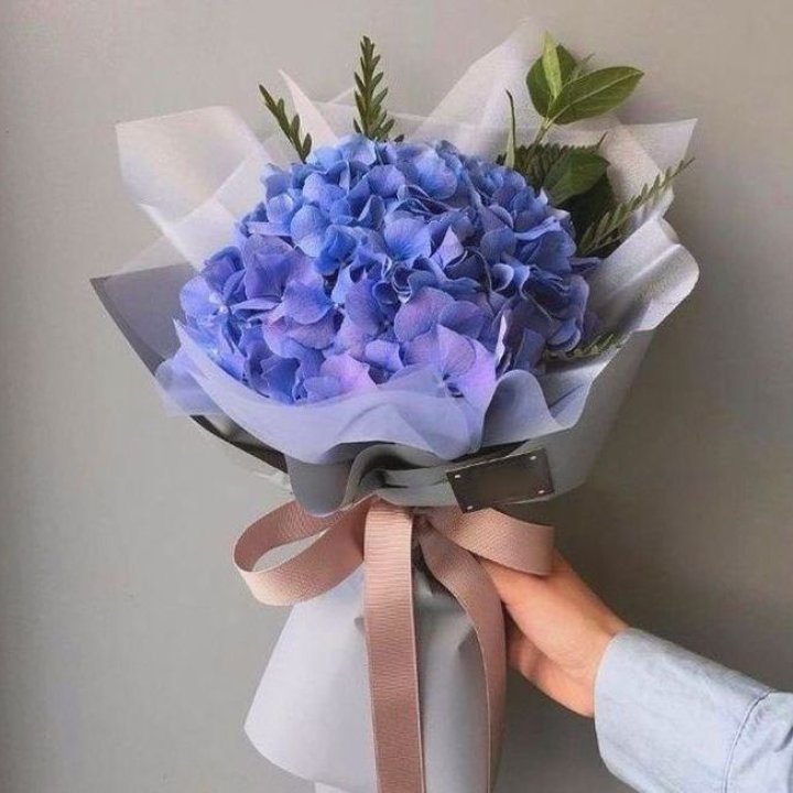 Гортензия голубая в Астрахани