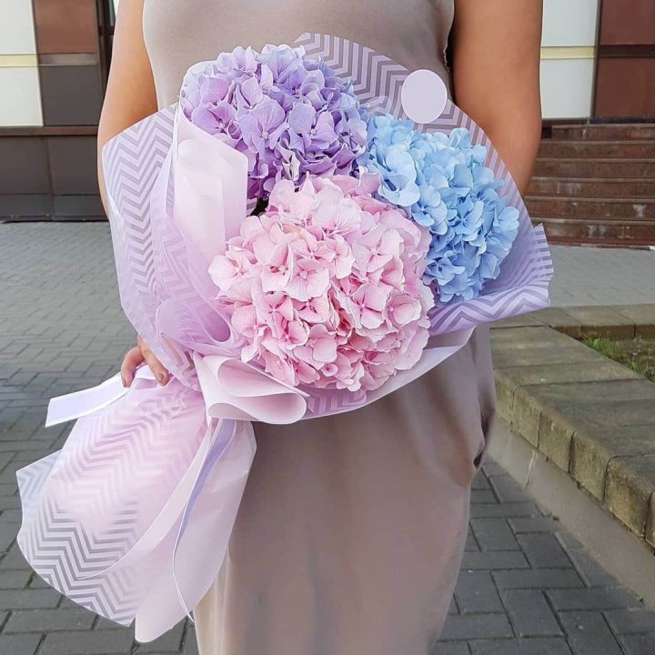 Букет гортензий "Пуф" в Астрахани