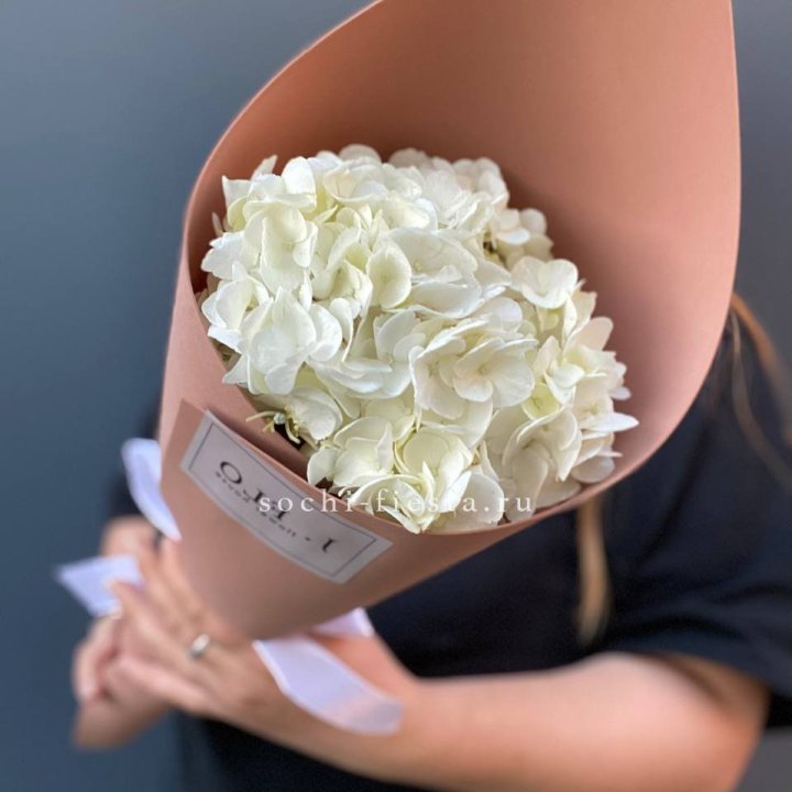 Гортензия в конверте в Астрахани