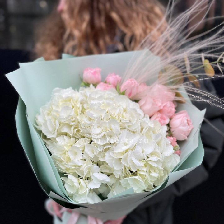 Гортензия "Жасмин" в Астрахани