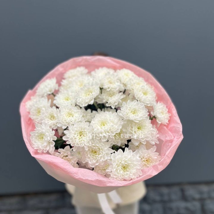  5 хризантем  в Астрахани