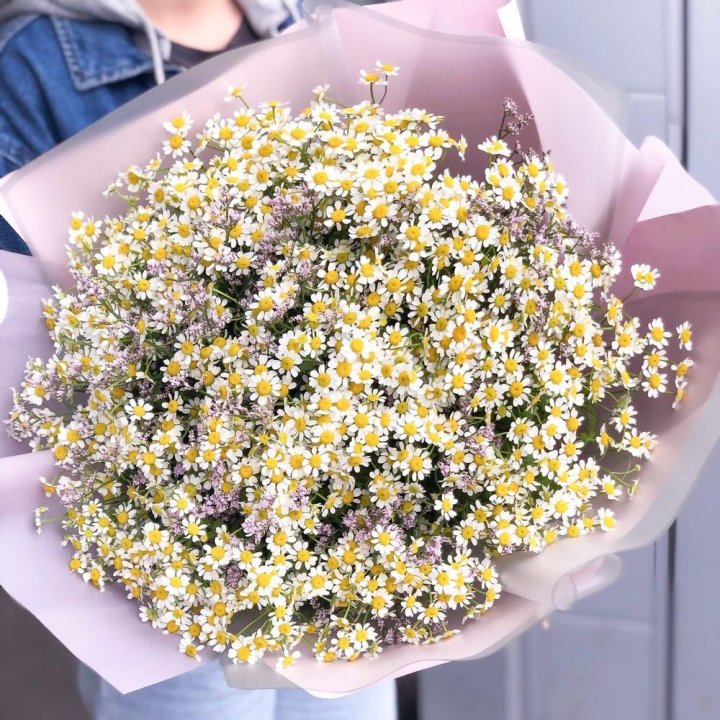 Букет ромашек №1 в Астрахани