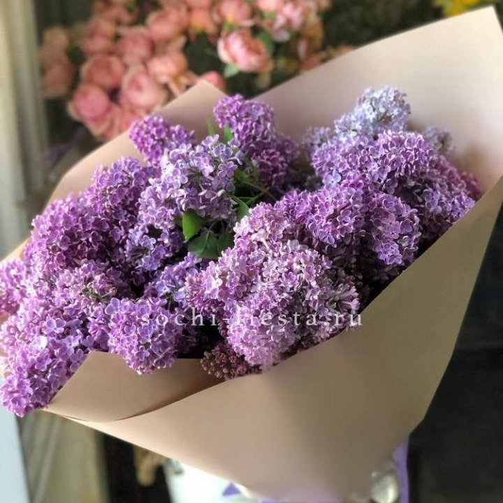 Букет сирени №2 в Астрахани