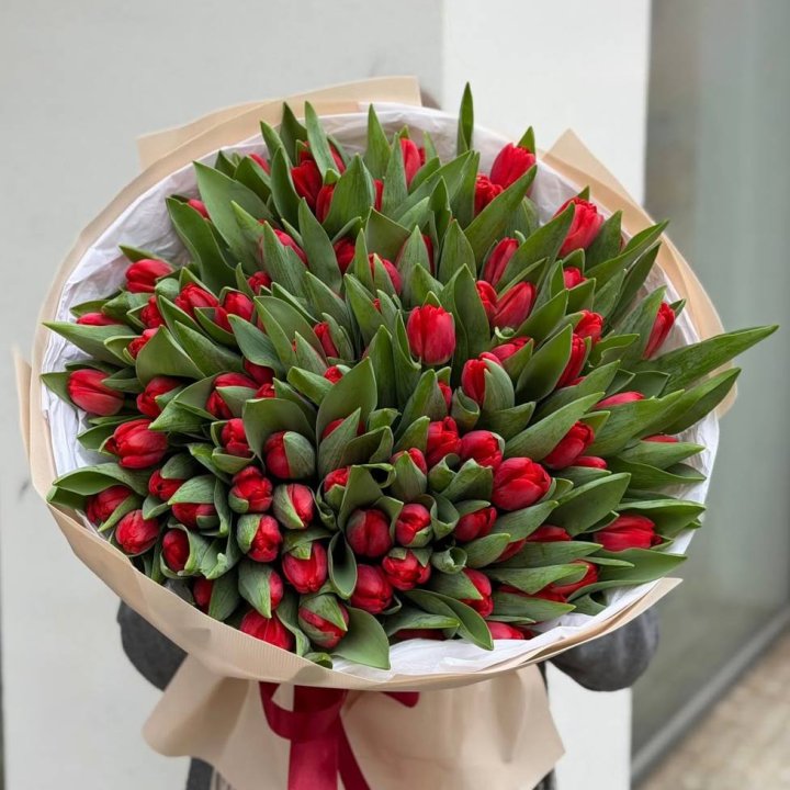 101 красный тюльпан в Астрахани