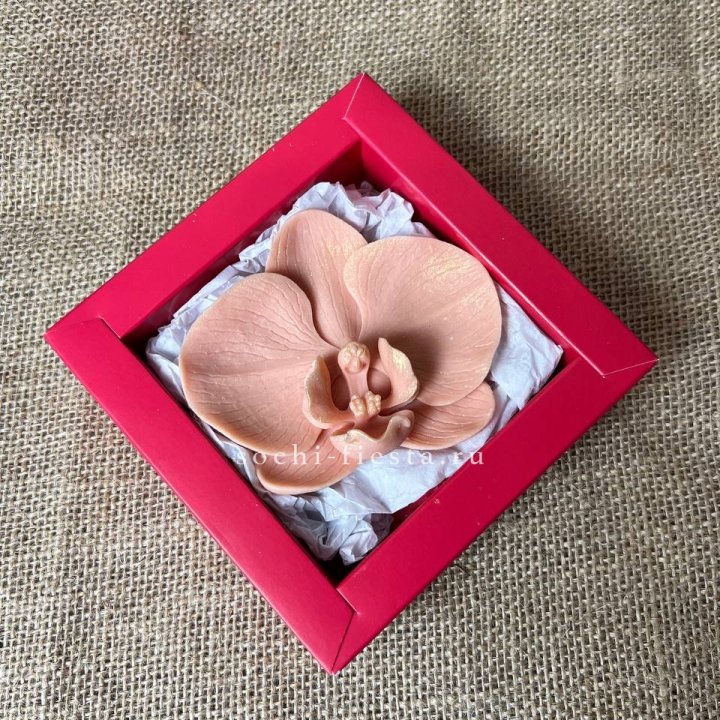 Бельгийский шоколад Орхидея в Астрахани