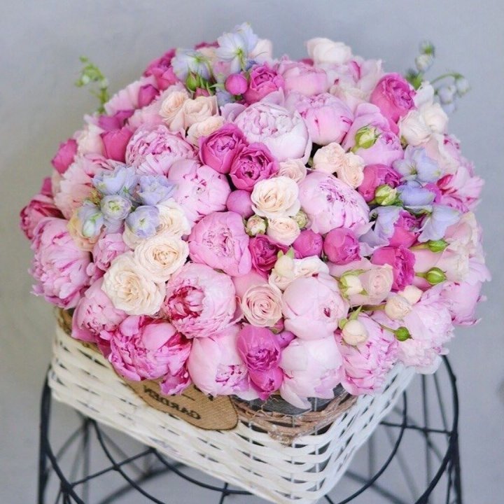 Композиция "Черри" в Астрахани