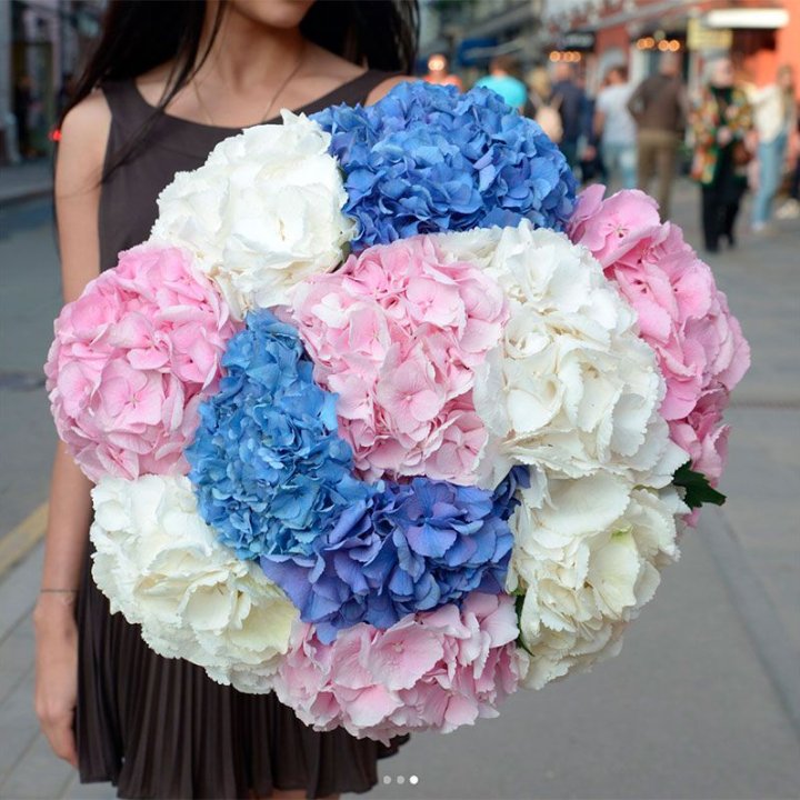 Букет гортензий "Инь-Янь" в Астрахани