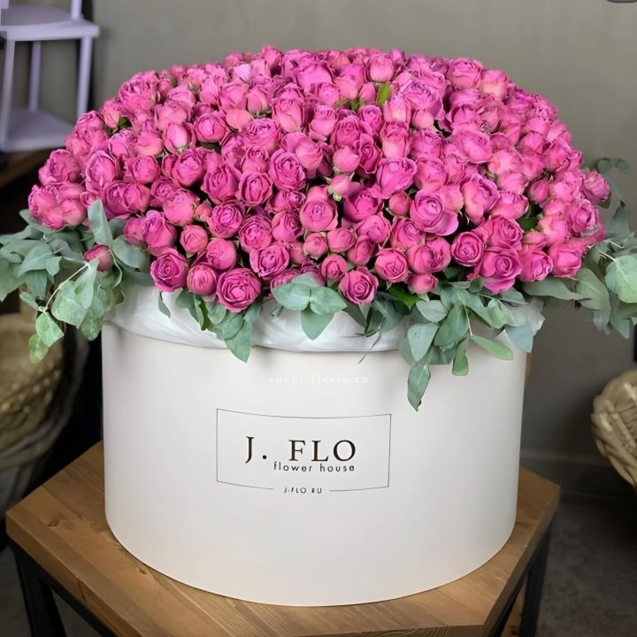 Цилиндр с Мисти Бабблс  в Астрахани