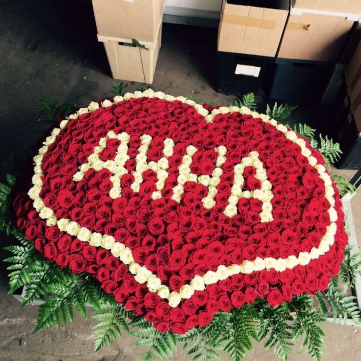 555 роз с именем в Астрахани