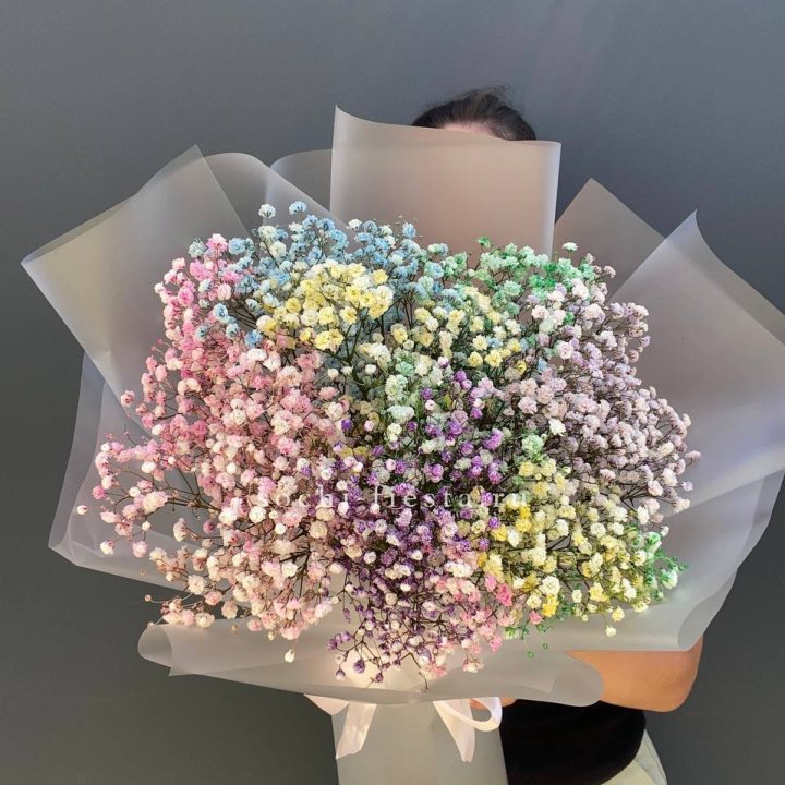 Радужные гипсофилы  в Астрахани