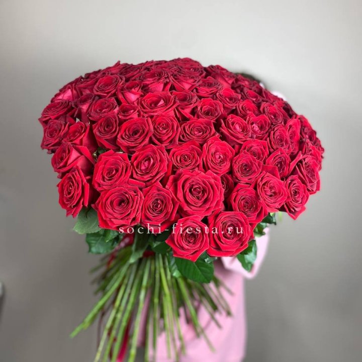 101  голландская роза  в Астрахани