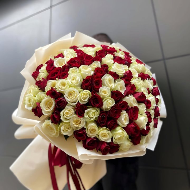 101 высокая импортная роза  в Астрахани