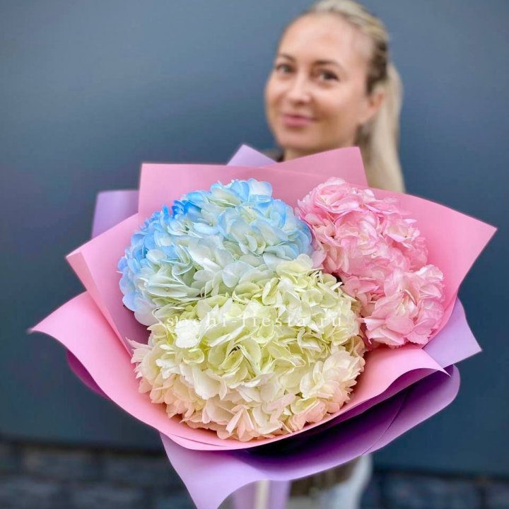 Букет гортензий "Тоника" в Астрахани