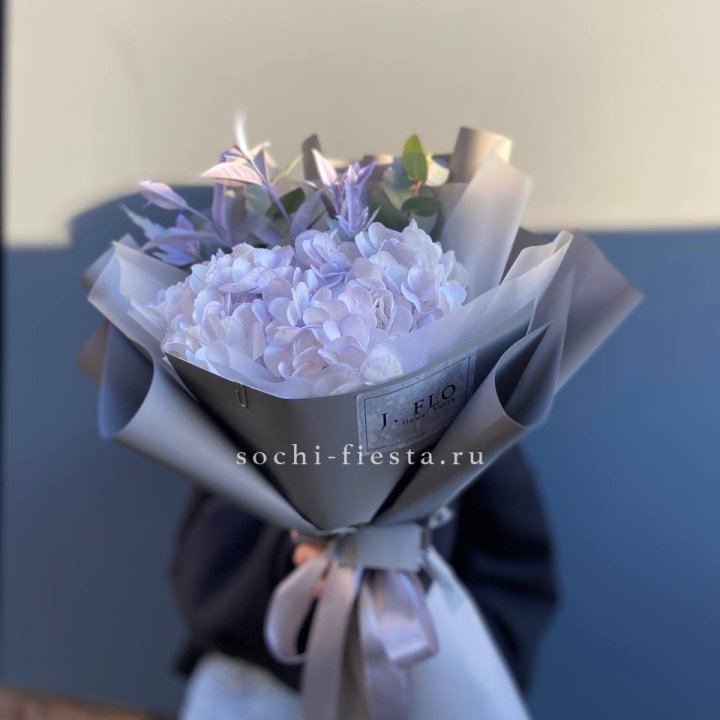 Гортензия "Виолета" в Астрахани