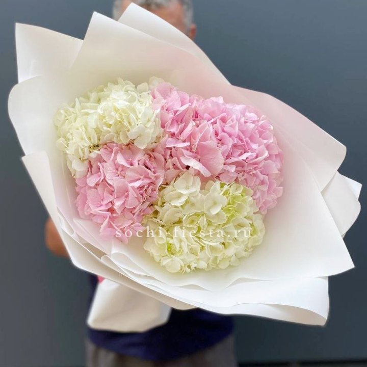 Букет гортензий №5 в Астрахани