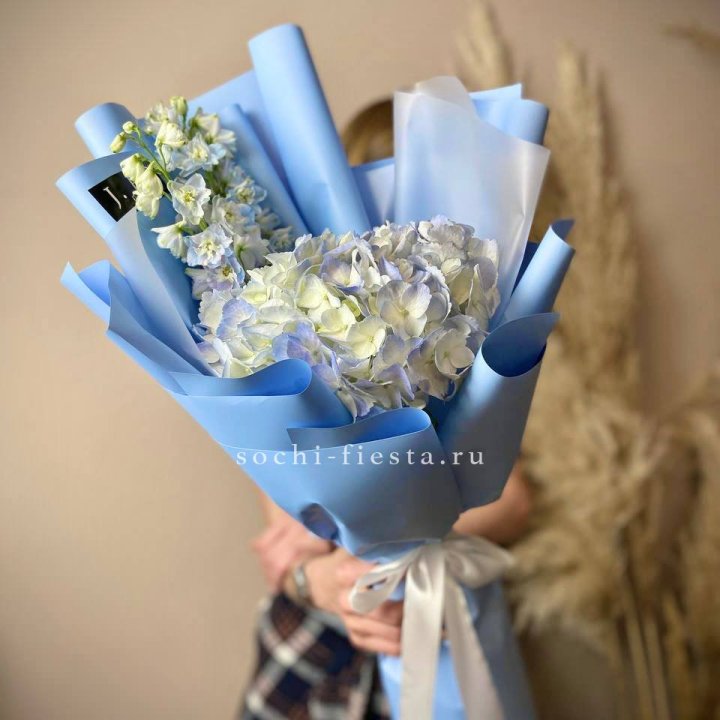 Гортензия "Блю скай" в Астрахани