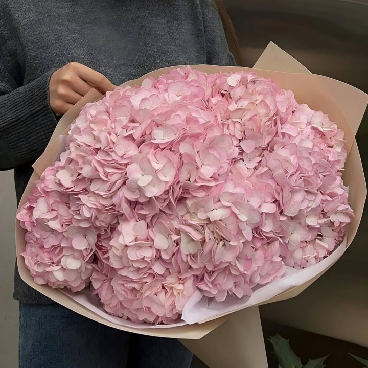 Гортензия  "РОЗЕ" в Астрахани