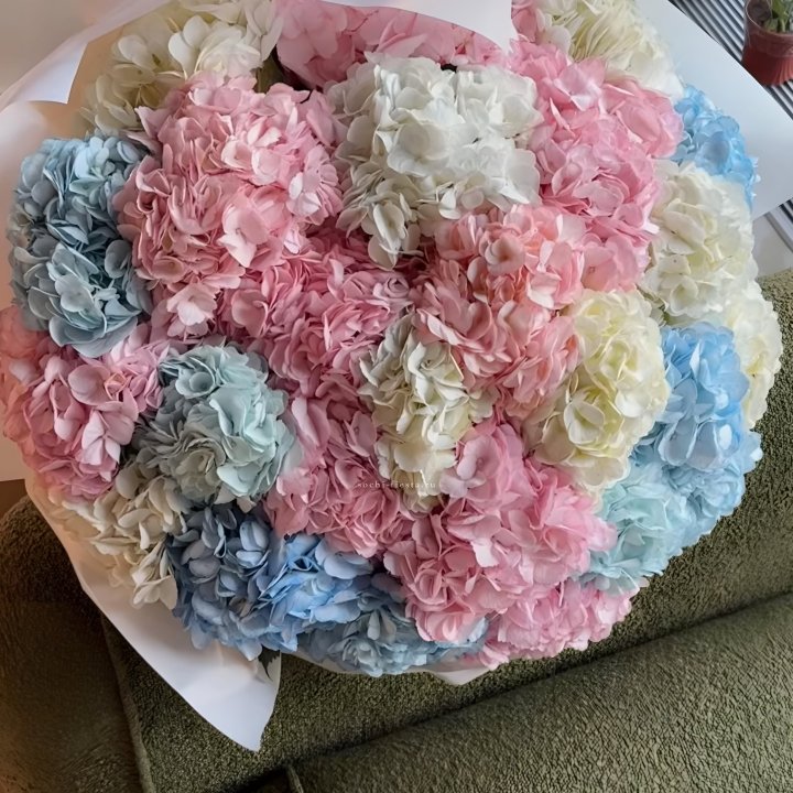 Букет гортензий микс в Астрахани