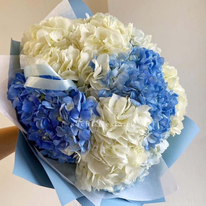 Букет гортензий "Голубая лаза" в Астрахани