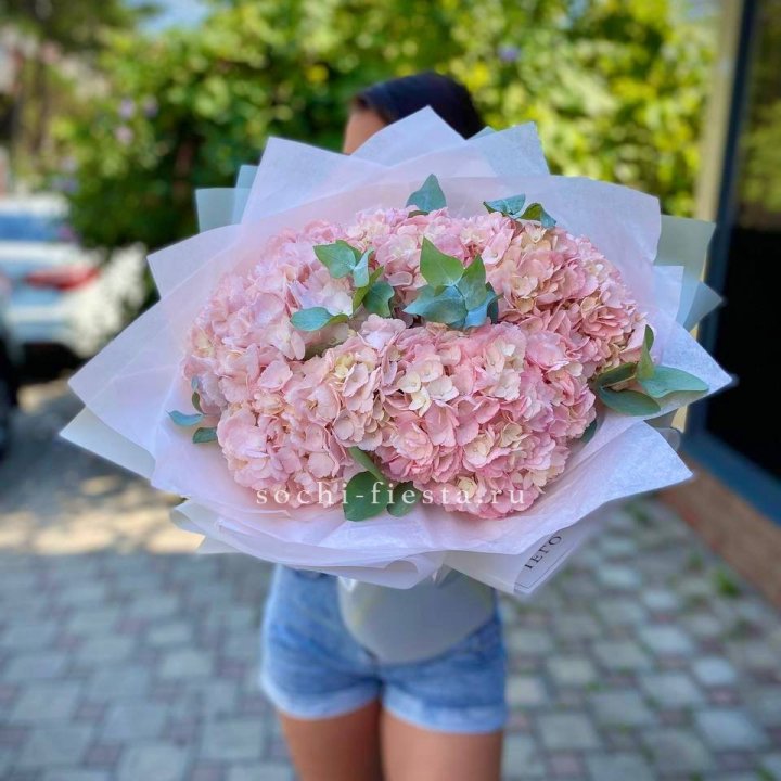 5 розовых гортензий  в Астрахани