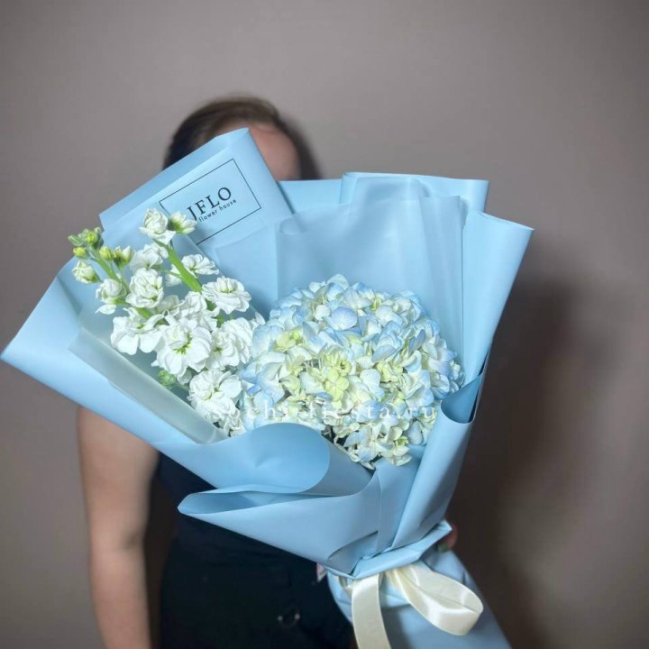 Гортензия голубая с маттиолой в Астрахани