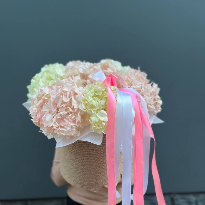 7 гортензий в кашпо в Астрахани