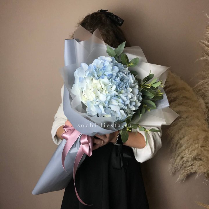 Гортензия Уно в Астрахани