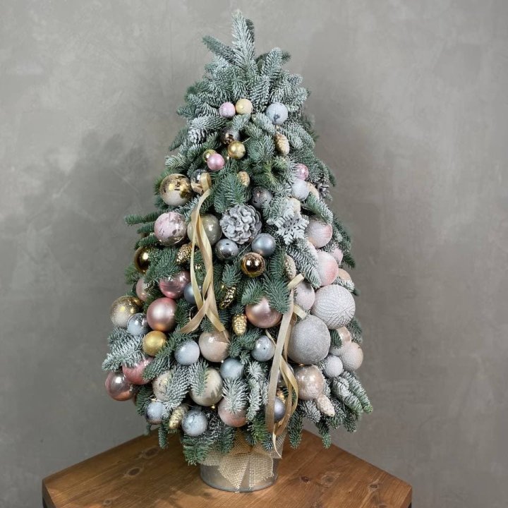 Новогодняя ёлка из веток датского нобилиса в Астрахани