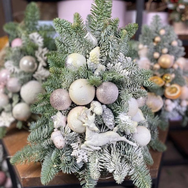 Ёлочка "Хепи крисмас" в Астрахани