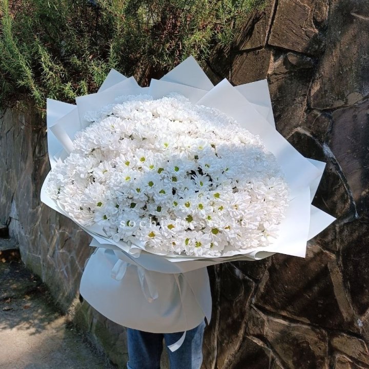 Облако хризантем №2 в Астрахани