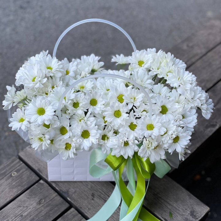 Сумка с хризантемами ромашками в Астрахани