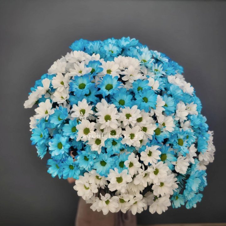  Букет хризантем микс в Астрахани