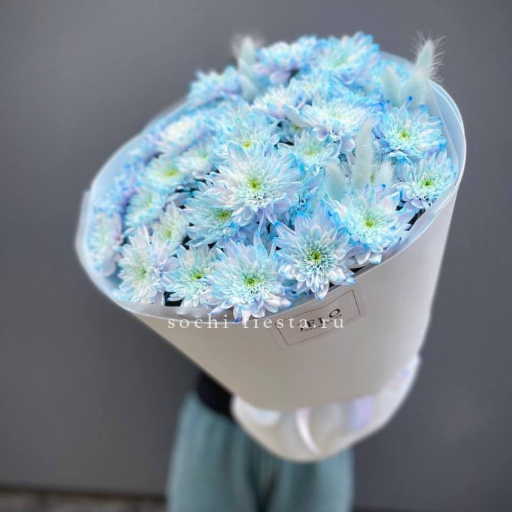  Букет нежно-голубых хризантем  в Астрахани